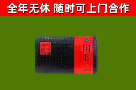 石家庄烟酒回收阿胶.jpg